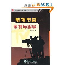 电视节目策划与编导 从创意构思到栏目推广的完整路径